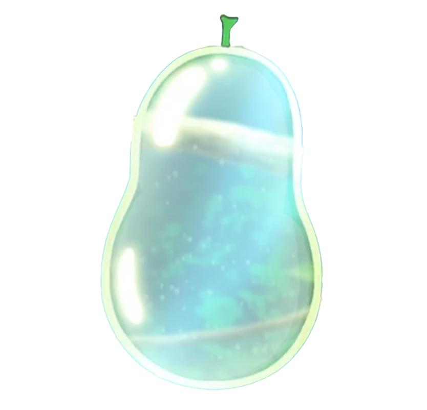 Clear-Clear Fruit